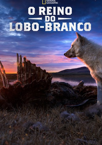 O Reino do Lobo-Branco