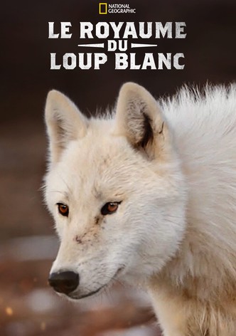 Le royaume du loup blanc