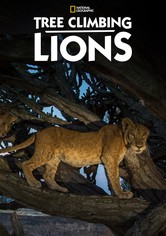 Tree Climbing Lions