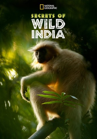 Secrets of Wild India