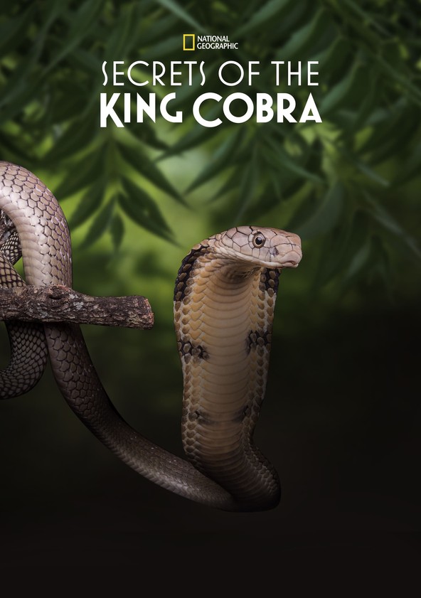 King cobra full movie online free sale