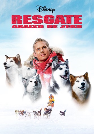 Antártida - Da Sobrevivência ao Resgate