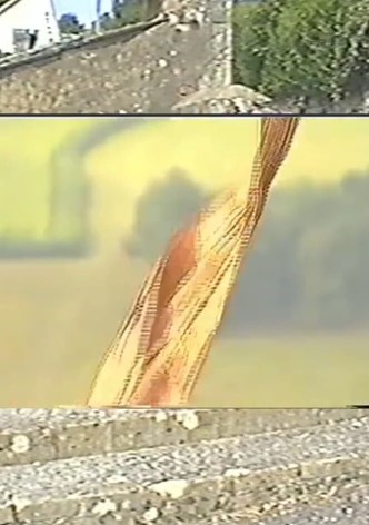 Three Young Men on a Bench