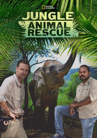 Jungle Animal Rescue