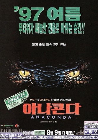 아나콘다