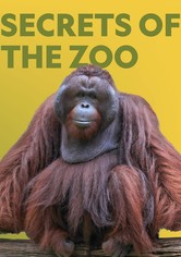 Secretos Veterinarios