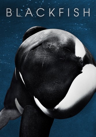 https://images.justwatch.com/poster/20709270/s332/blackfish