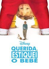 Querida, Ampliei o Miúdo