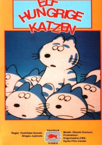 Eleven Cats