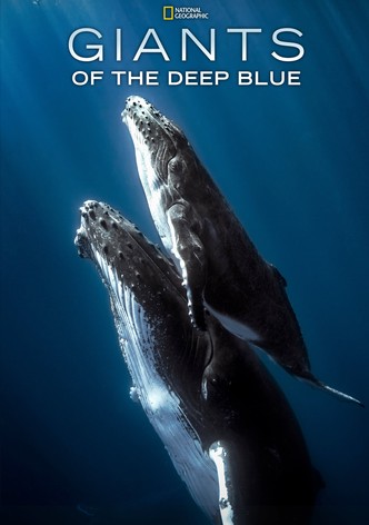 Giants of the Deep Blue