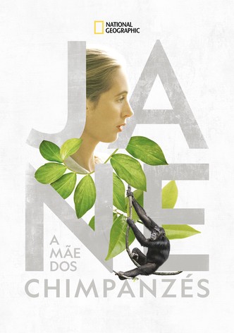 Jane: a Mãe dos Chimpanzés