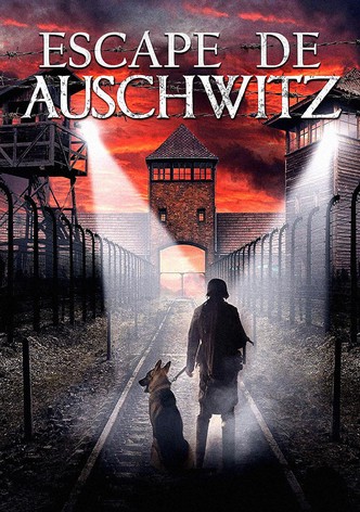 Escape from Auschwitz