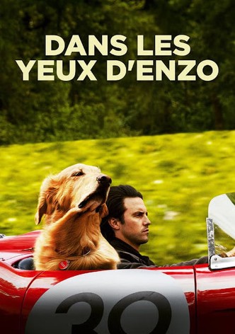 Dans les yeux d'Enzo