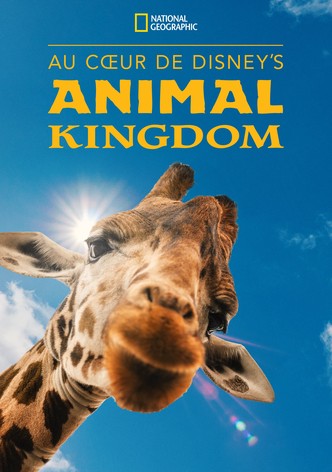 Au cœur de Disney's Animal Kingdom