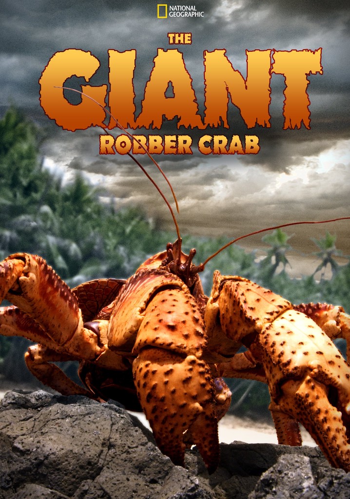 The Giant Robber Crab