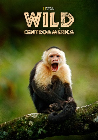 Wild Centroamérica