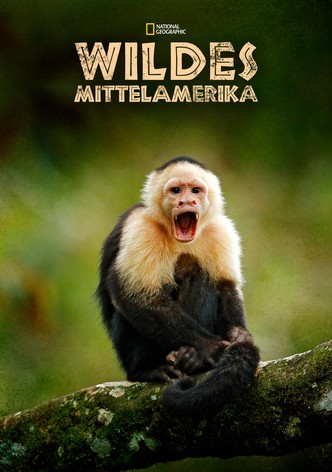 Wildes Mittelamerika
