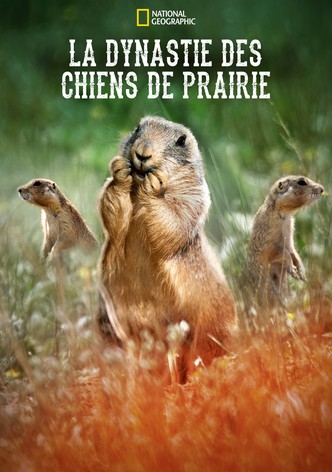 Prairie Dog Manor