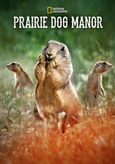 Prairie Dog Manor