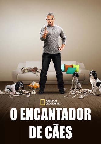 O Encantador de Cães