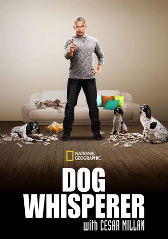 Dog Whisperer with Cesar Millan