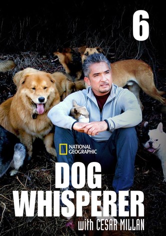 Dog Whisperer with Cesar Millan Season 6