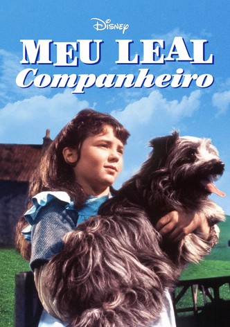 Meu Leal Companheiro