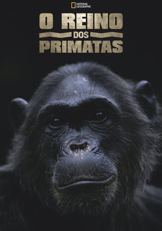 Kingdom of the Apes: Battle Lines