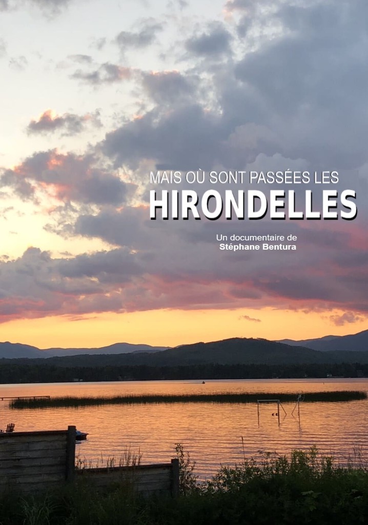 Où sont passées les hirondelles?