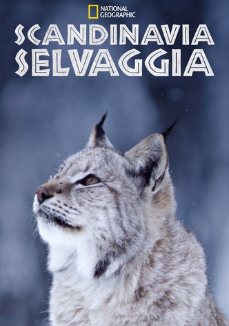 Scandinavia Selvaggia