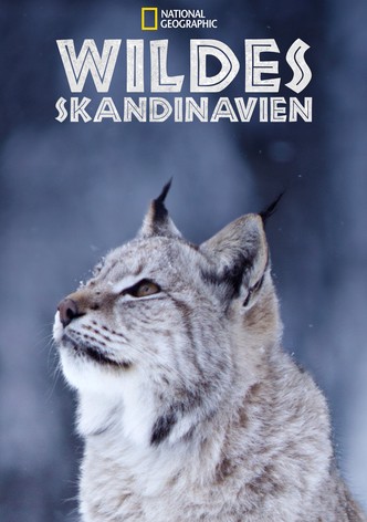 Wildes Skandinavien