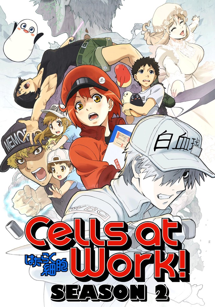 Cells at Work! Season 2 watch episodes streaming online