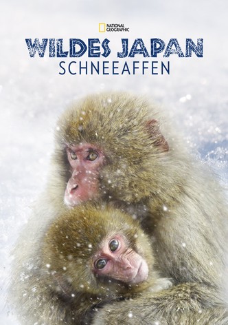 Wildes Japan: Schneeaffen