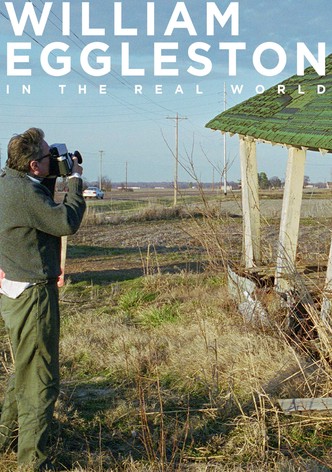 William Eggleston in the Real World