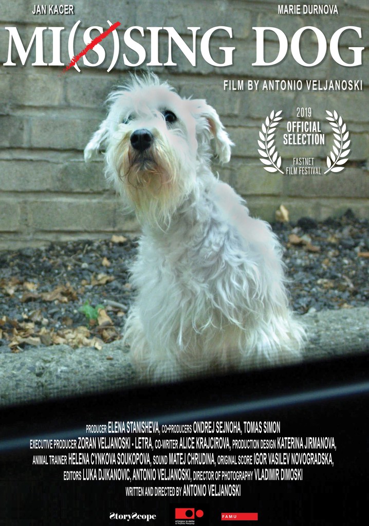 Mi(s)sing Dog
