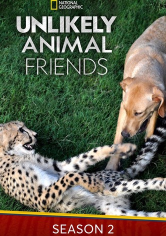 Unlikely Animal Friends - streaming online