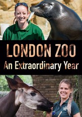 London Zoo: An Extraordinary Year