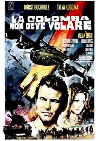 La colomba non deve volare