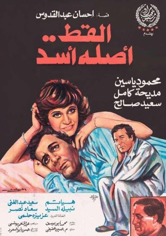 القط أصله أسد