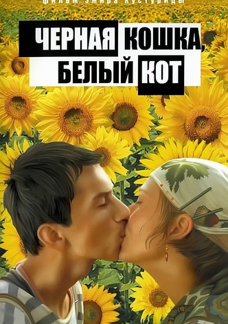 Чёрная кошка, белый кот