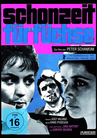 Schonzeit für Füchse