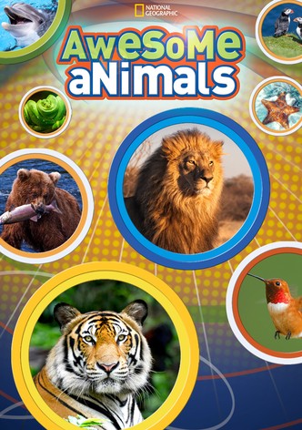Awesome Animals