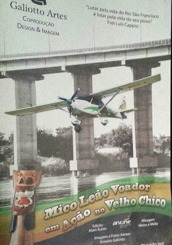 Mico Leão Voador em Ação no Velho Chico