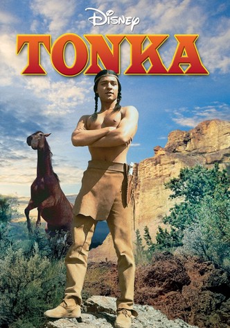 Tonka, cheval sauvage