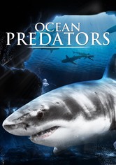 Ocean Predators