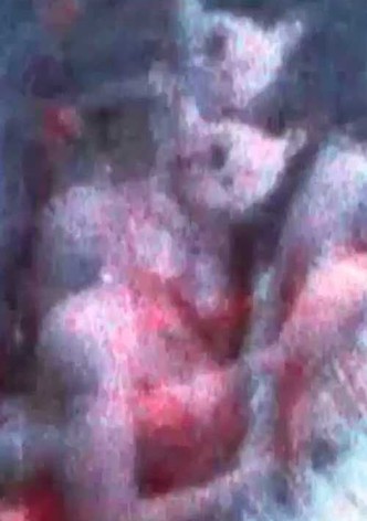 Two Trans Girls Kissing for Ten Hours no. 3
