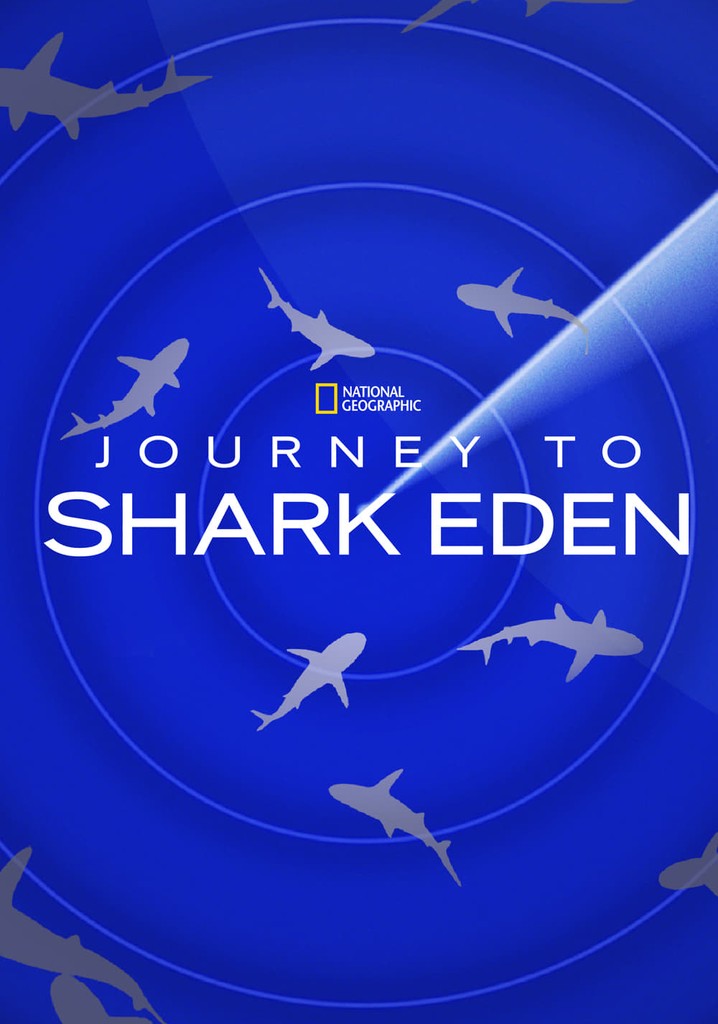 Köpekbalığı Cennetine Yolculuk