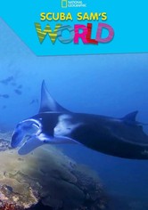 Dalgıç Sam'in Dünyası