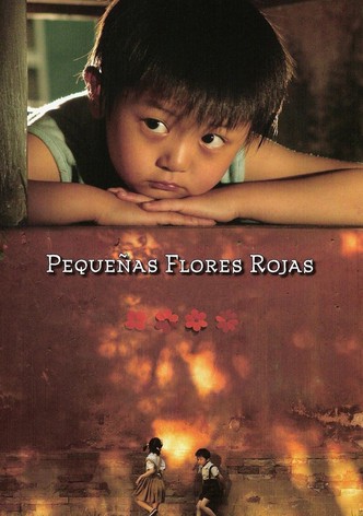 Pequeñas flores rojas