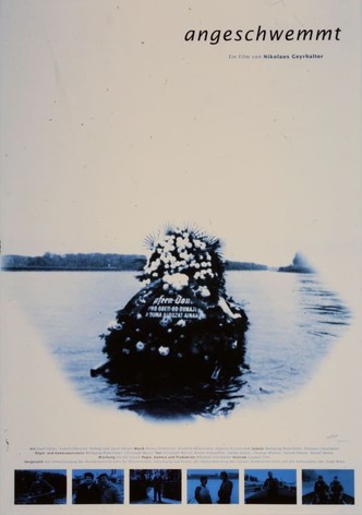Angeschwemmt